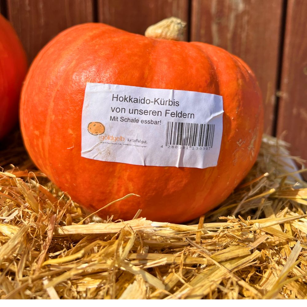 Hokkaido Kürbis