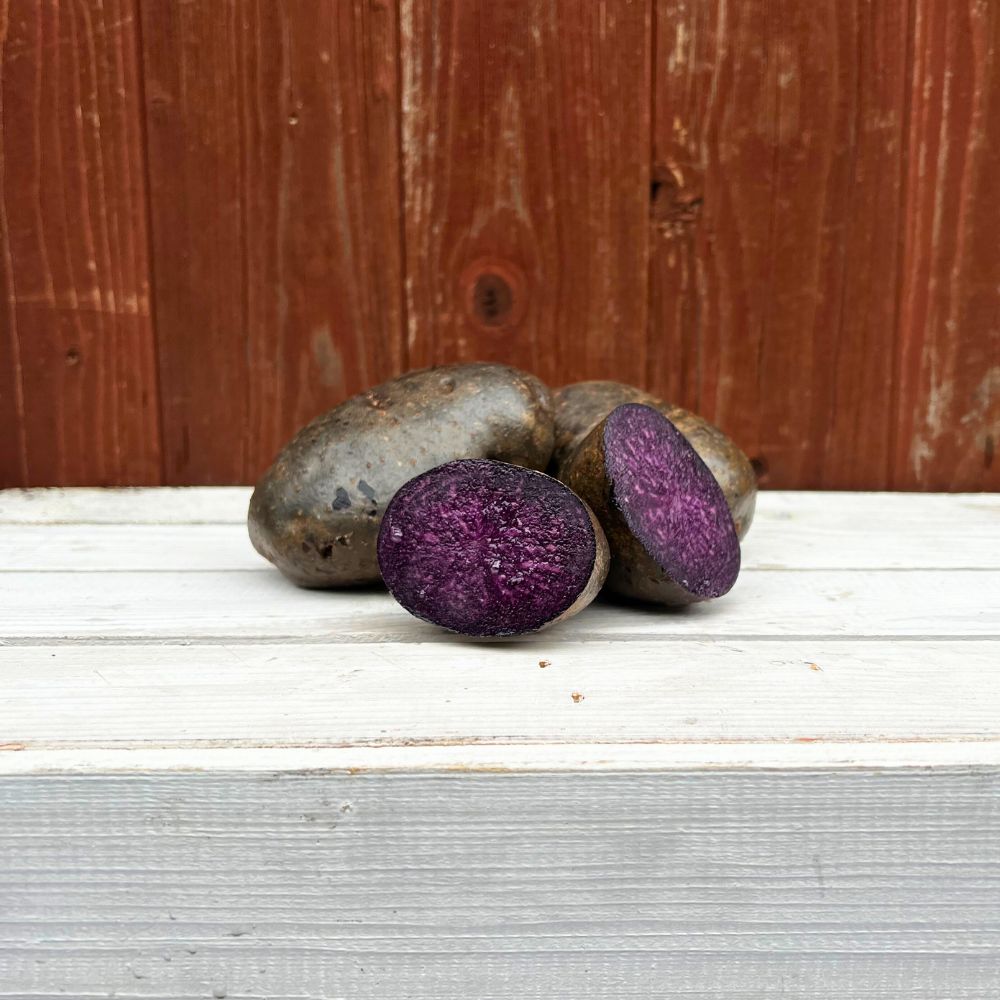 Double Fun Violette Lila Kartoffel