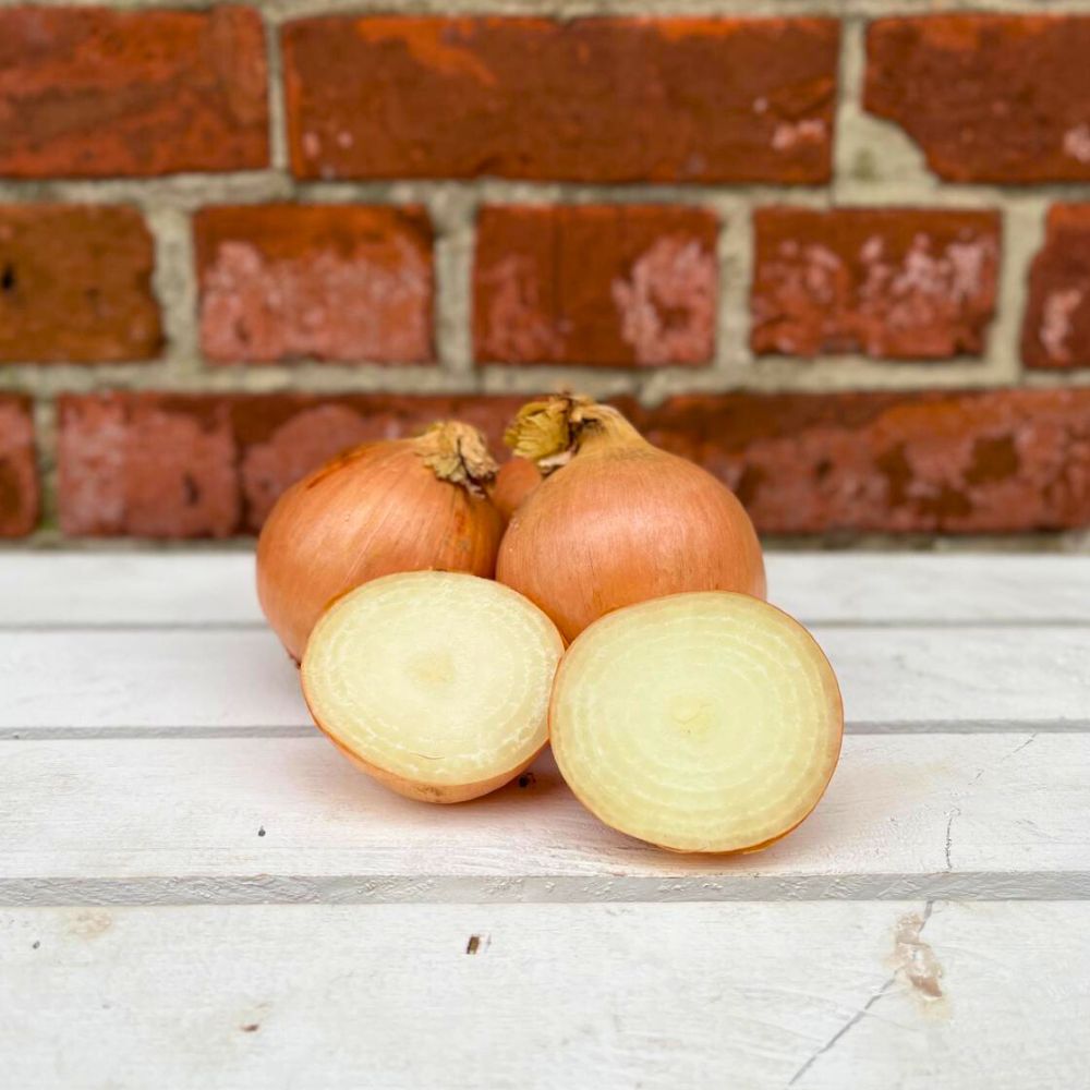 Gemüsezwiebeln Deutschland