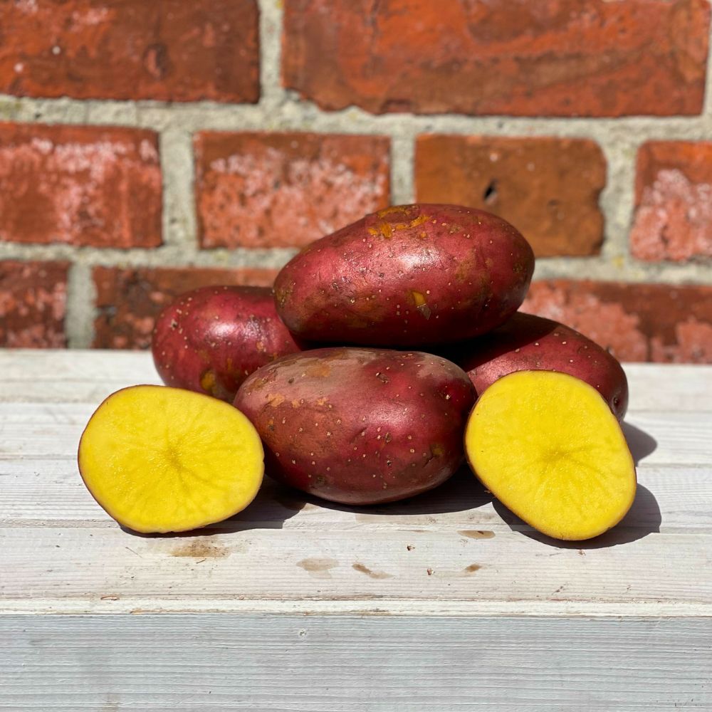 Große Rote Laura Kartoffel