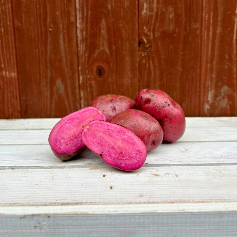 Rote Kartoffel Mulberry Beauty
