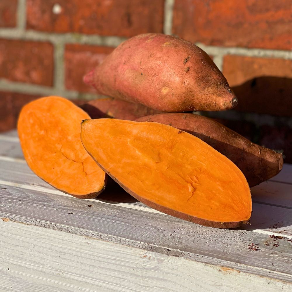 Süßkartoffel