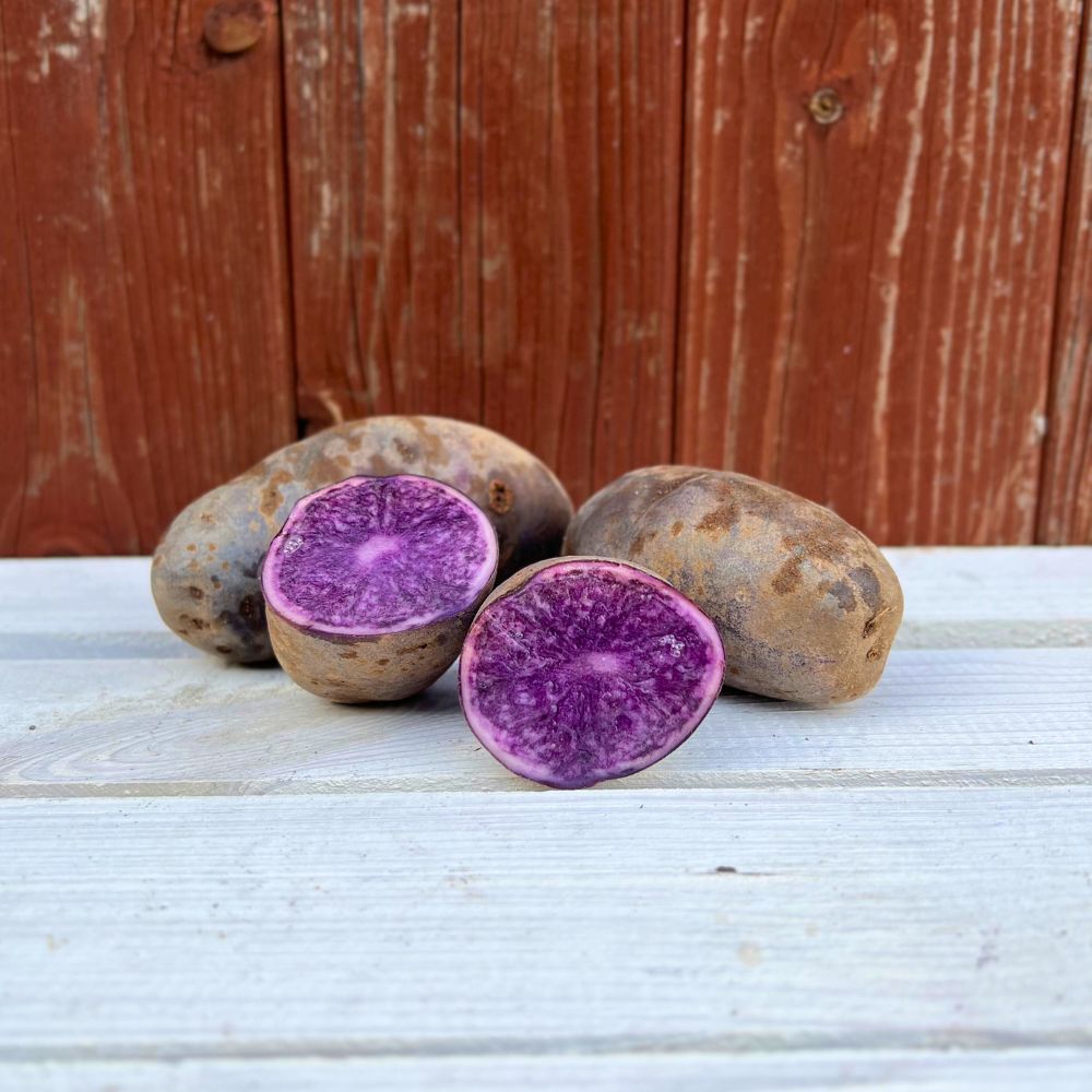 Blaue Kartoffeln Hier Kaufen Alte Sorte Congo Blauer Schwede