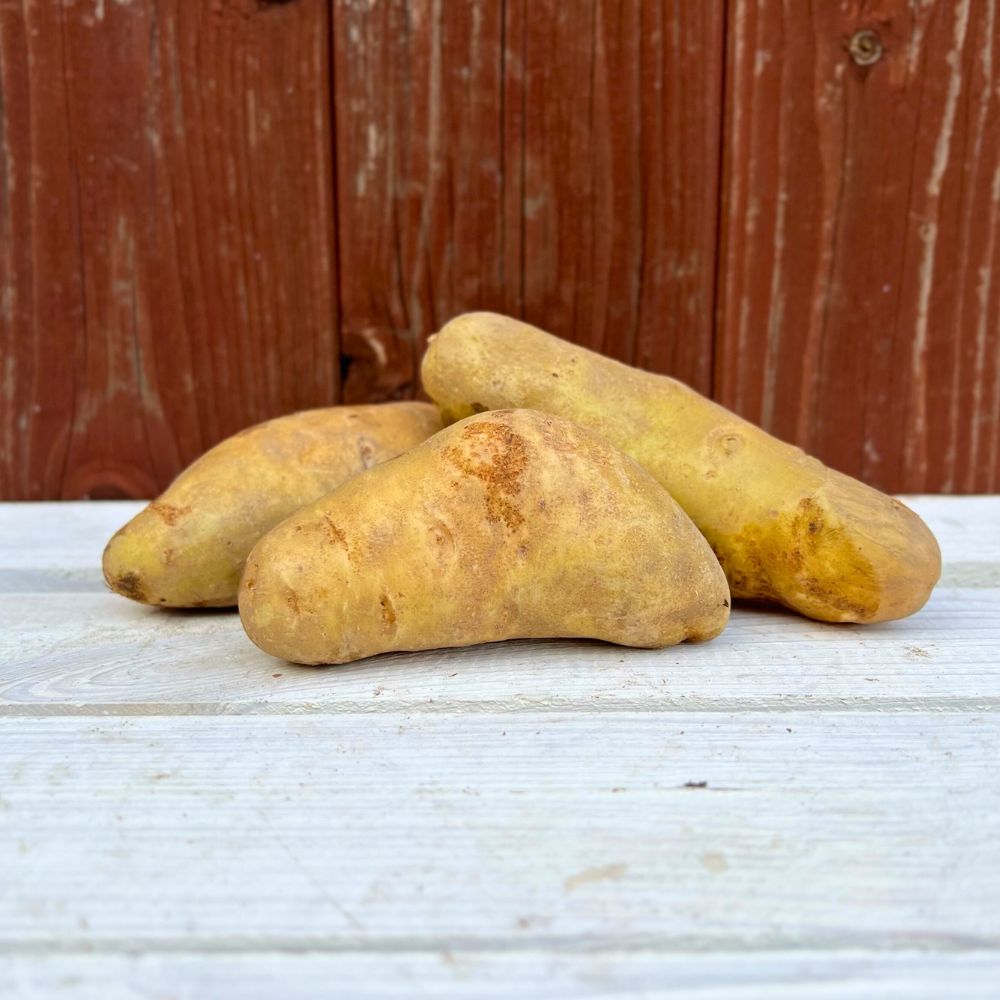 La Ratte Kartoffel Die Edelkartoffel aus Frankreich Festkochend & Nussig Meine Knolle