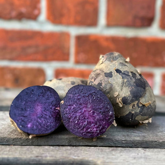 Purple Rain Kartoffel