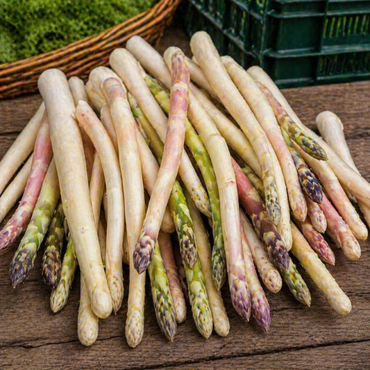 Bunter Vio Spargel