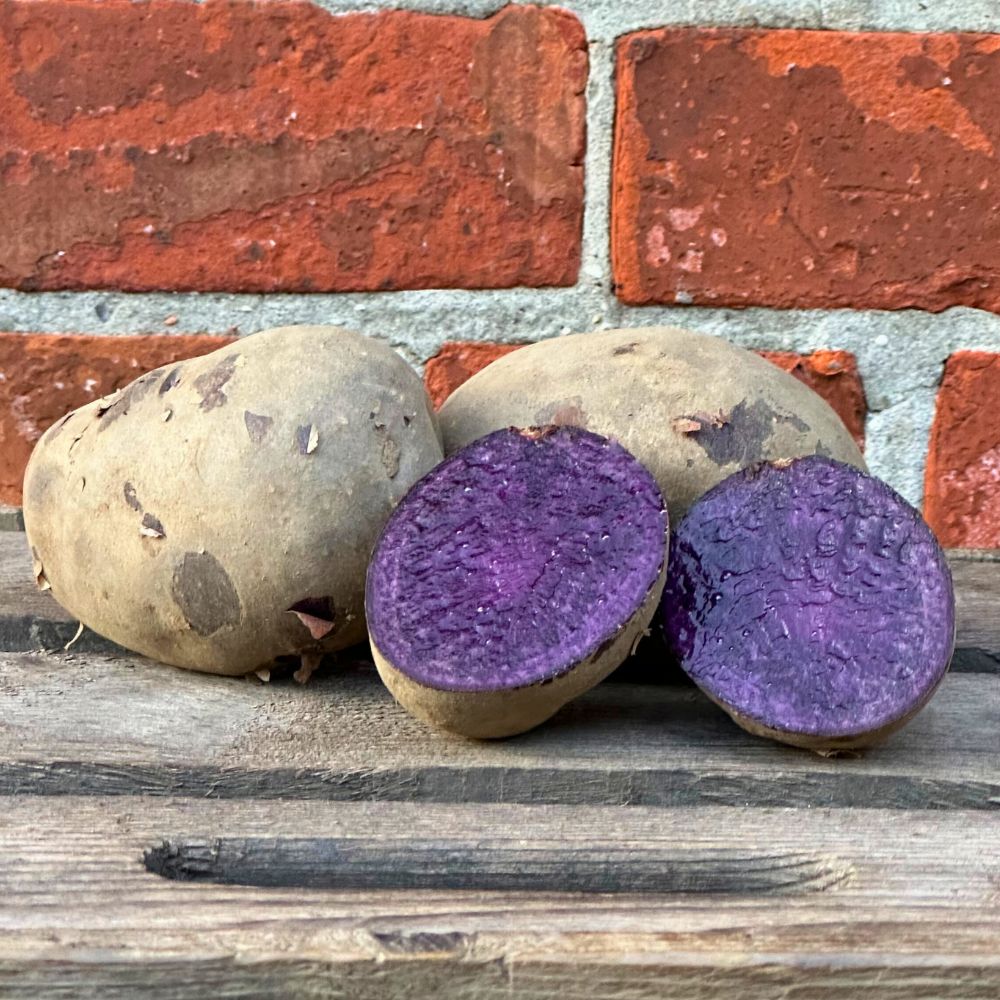 Blaue Anneliese Kartoffel